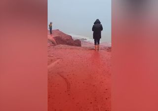 V&iacute;deo: el asombroso espect&aacute;culo natural de la Playa Roja de Ormuz, Ir&aacute;n, provocado por la lluvia