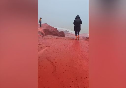 V&iacute;deo: el asombroso espect&aacute;culo natural de la Playa Roja de Ormuz, Ir&aacute;n, provocado por la lluvia