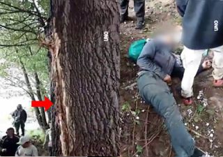 Video impactante: la caída de un rayo deja a cinco personas heridas de gravedad bajo una tormenta en Malargüe