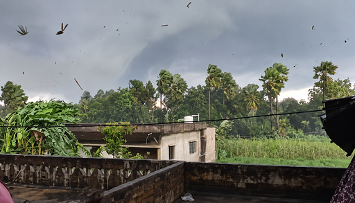 Las espectaculares im&aacute;genes del peligroso tornado que ha causado graves destrozos en Mahisaur, India