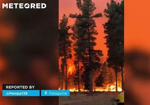 Video viral: graves incendios forestales arrasan La Patagonia, Argentina