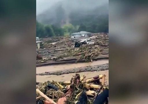 Video viral: un deslizamiento masivo causa una tragedia en Te Araroa, Nueva Zelanda