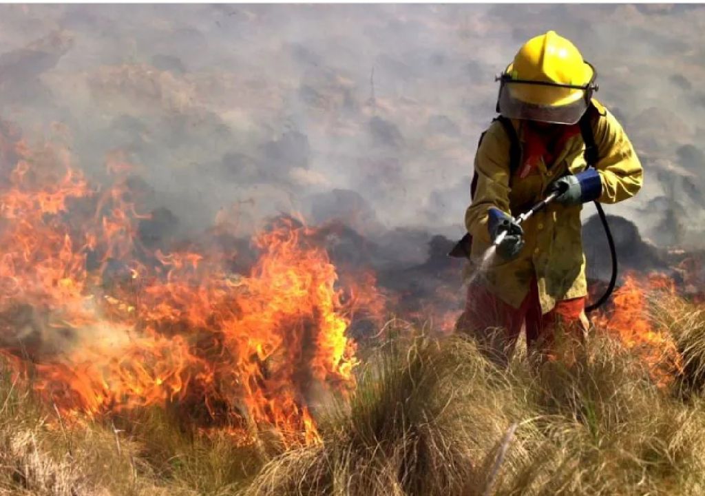 incendios forestales argentina