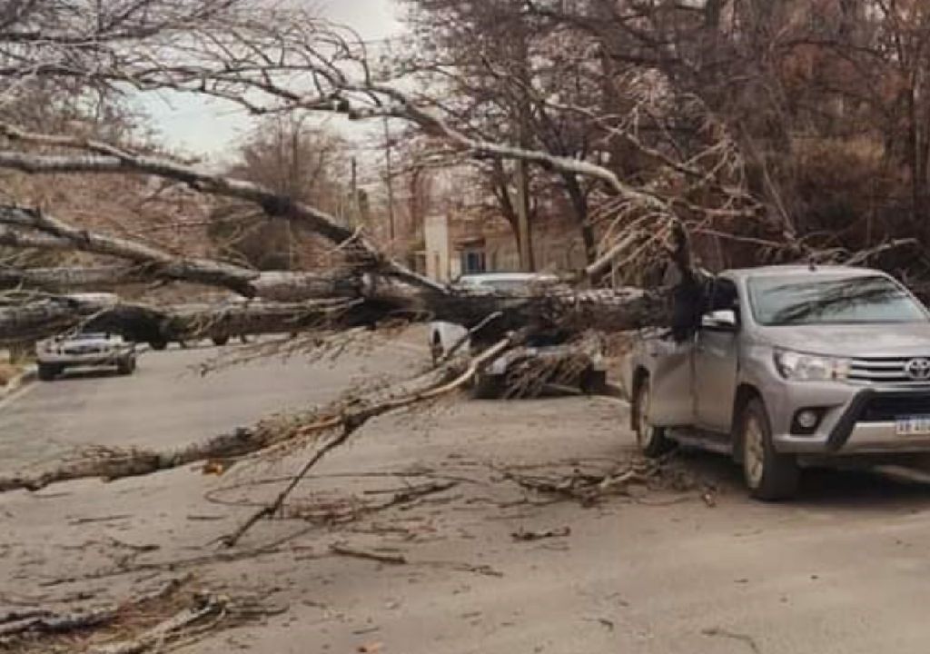 temporal de viento neuquén y mendoza