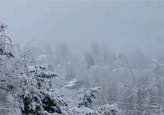 Videos: la nieve cubrió a gran parte de la provincia de Mendoza