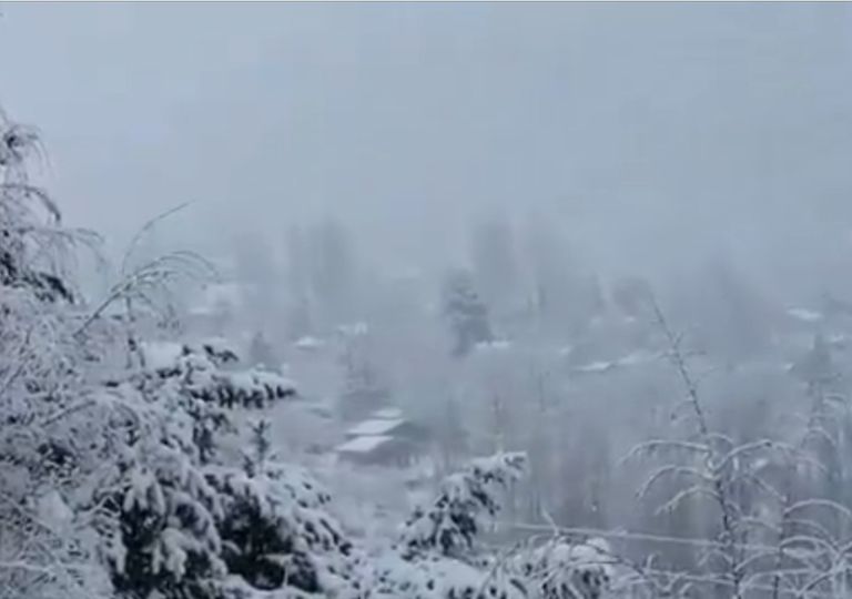 Videos: la nieve cubrió a gran parte de la provincia de Mendoza Videos: la nieve cubrió a gran parte de la provincia de Mendoza