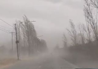 Videos: los impactos del zonda en Mendoza, dos muertos, árboles caídos y daños en la ciudad