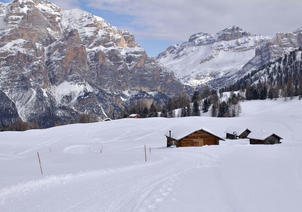 Fast überall auf der Welt hat der Mensch die Natur verändert