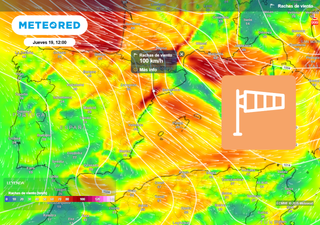 Borrasca Pedro: este jueves 19 de febrero dejar&aacute; vientos de m&aacute;s de 80 km/h en todas estas provincias