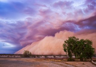 Viento severo y nueva masa polar llegará a México