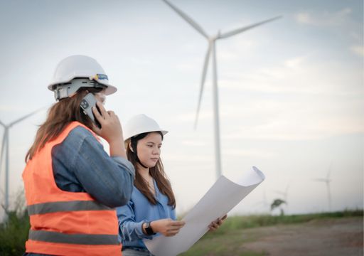 Vientos de cambio: &iquest;por qu&eacute; la energ&iacute;a solar le gana la partida a la e&oacute;lica en igualdad?