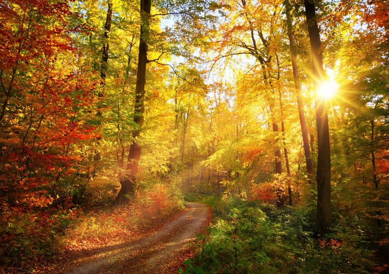 Herbstwärme Herbstwärme