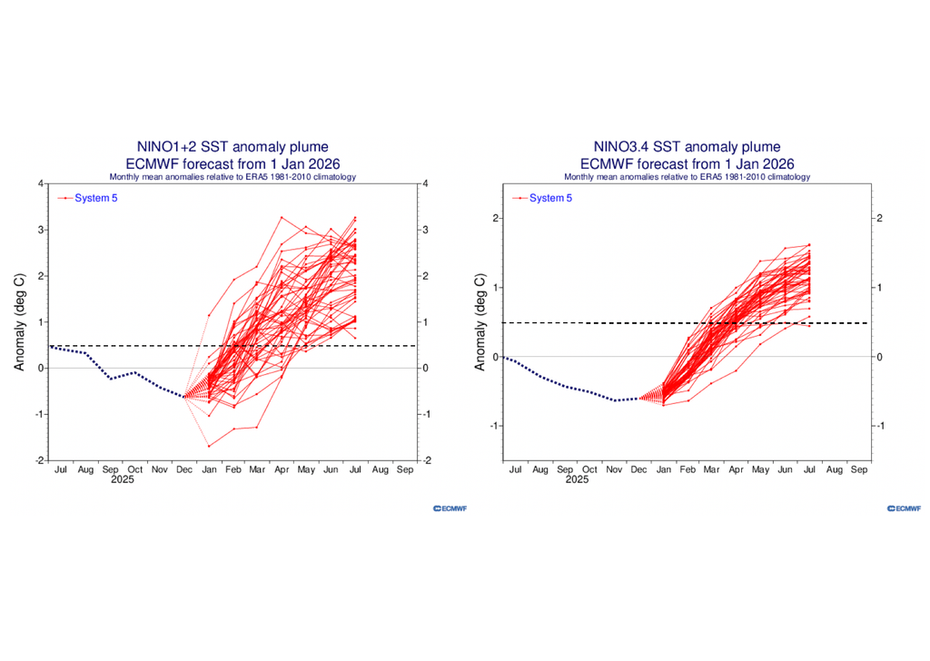 Pronóstico TSM Pronóstico de anomalías de temperatura superficial del mar en la región Niño 1-2 (izquierda) y Niño 3.4 (derecha). Fuente: ECMWF.