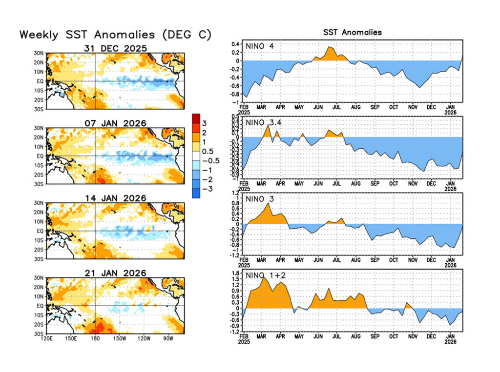 Izquierda: Anomalías semanales de temperatura superficial del mar en las últimas cuatro semanas. Derecha: Serie de tiempo de anomalías de temperatura superficial del mar en las regiones de El Niño. Fuente: NOAA-CPC.