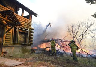 Villa Gesell: el incendio forestal que pudo ser tragedia