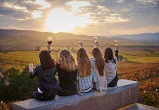 Viña TerraNoble: premios internacionales y experiencias enoturísticas 2025 para amantes del vino