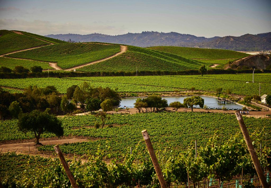 terranoble terranoble