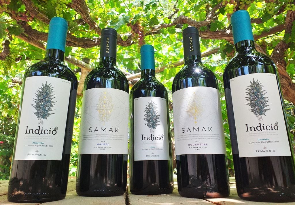 Primavento Todas las etiquetas de Primavento tienen elementos del cosmos y la flora del lugar. Imagen: Caro Aliaga