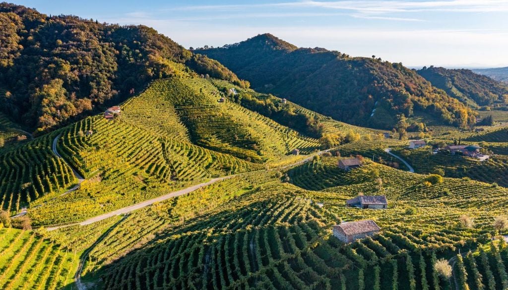 I vigneti di Valdobbiadene, in provincia di Treviso, dove nasce il famoso prosecco