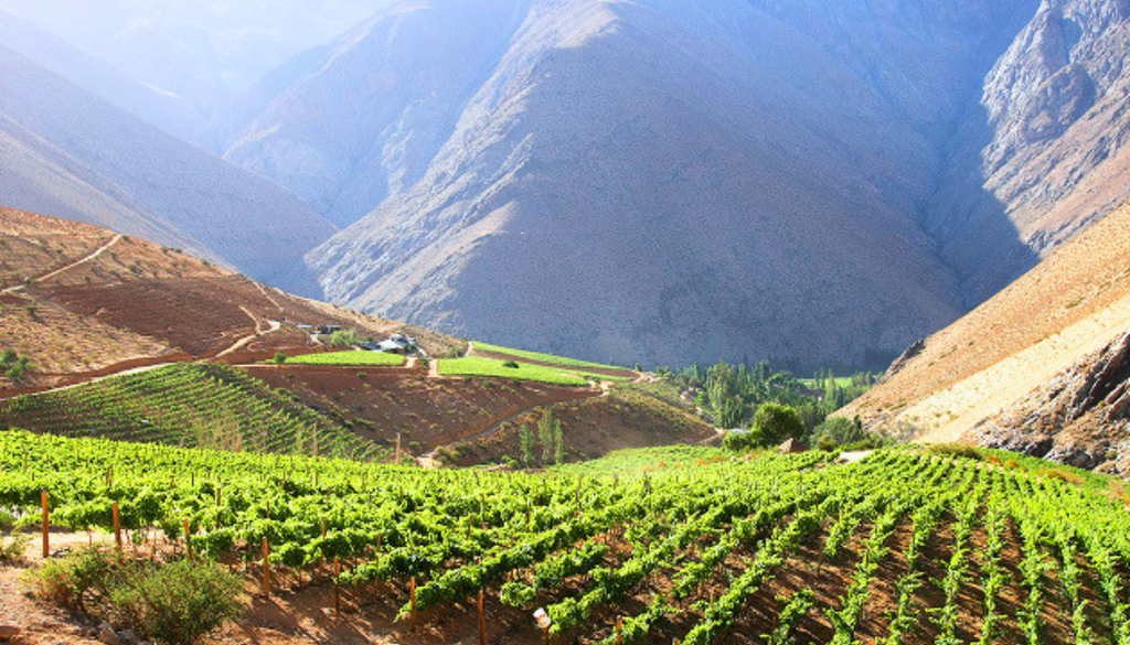 Los Viñedos de Alcohuaz son el resultado de tres factores fundamentales: sol, granito y altura. Crédito: alcohuaz.cl