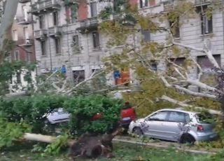 Violenti temporali colpiscono l'Italia del nord: tetti scoperchiati e alberi abbattuti a Milano, i video