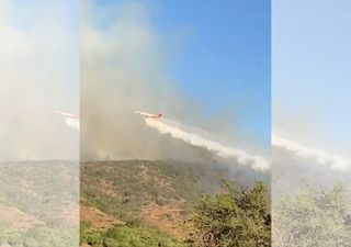 Incendio forestal de rápido avance amenaza con alcanzar viviendas en la Región de Valparaíso