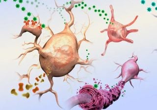 Virus fósiles incrustados al genoma humano están relacionados con trastornos psiquiátricos, tal como indica un estudio 