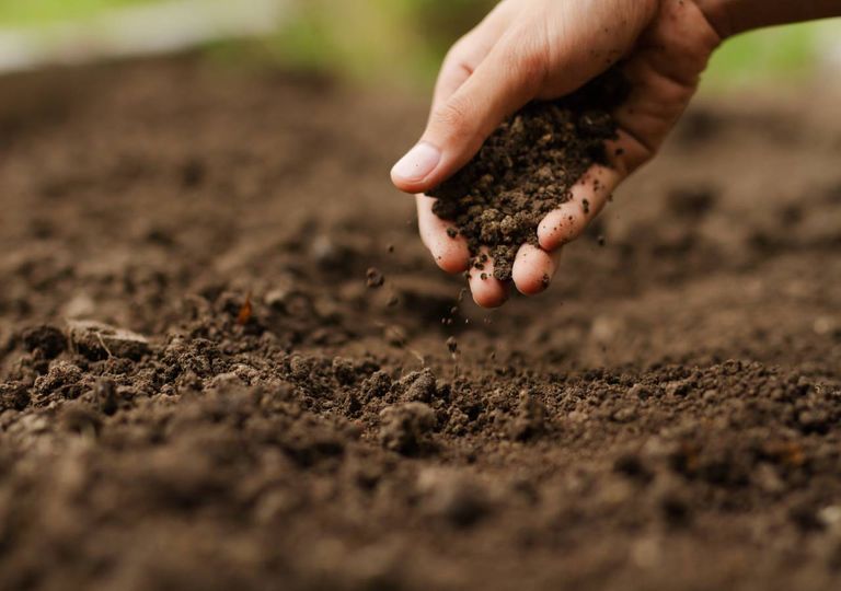 terra arável agricultor agricultura mão plantar sustentabilidade terra arável agricultor agricultura mão plantar sustentabilidade