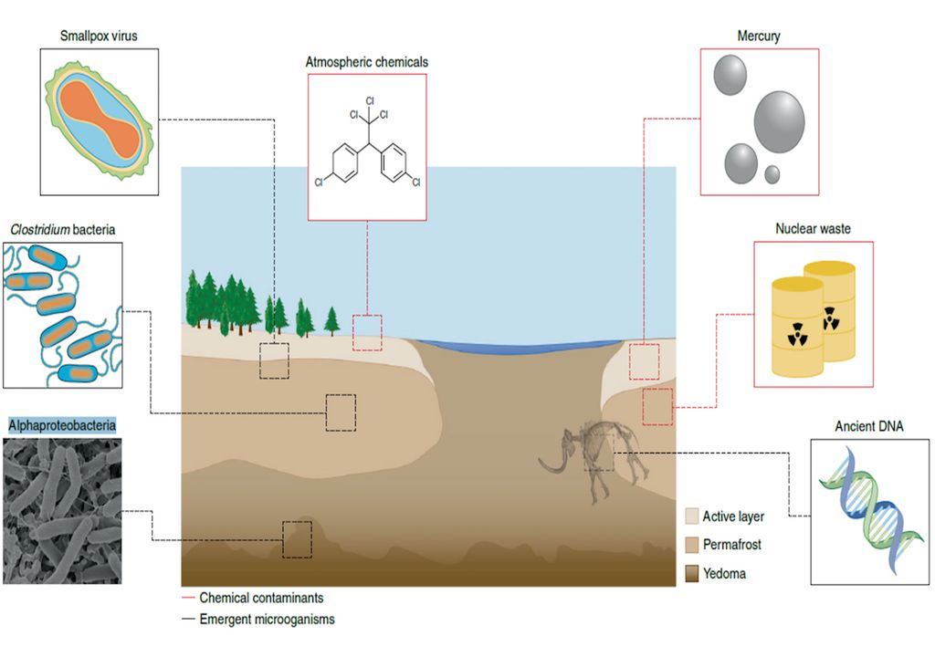 Sustancias peligrosas del permafrost Sustancias peligrosas del permafrost