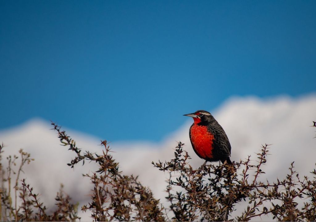 Foto: Subsecretaría de Turismo de Esquel