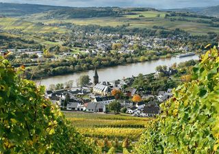 Visitare tre nazioni in un giorno in bicicletta, tra fiumi e vigneti: ecco come fare