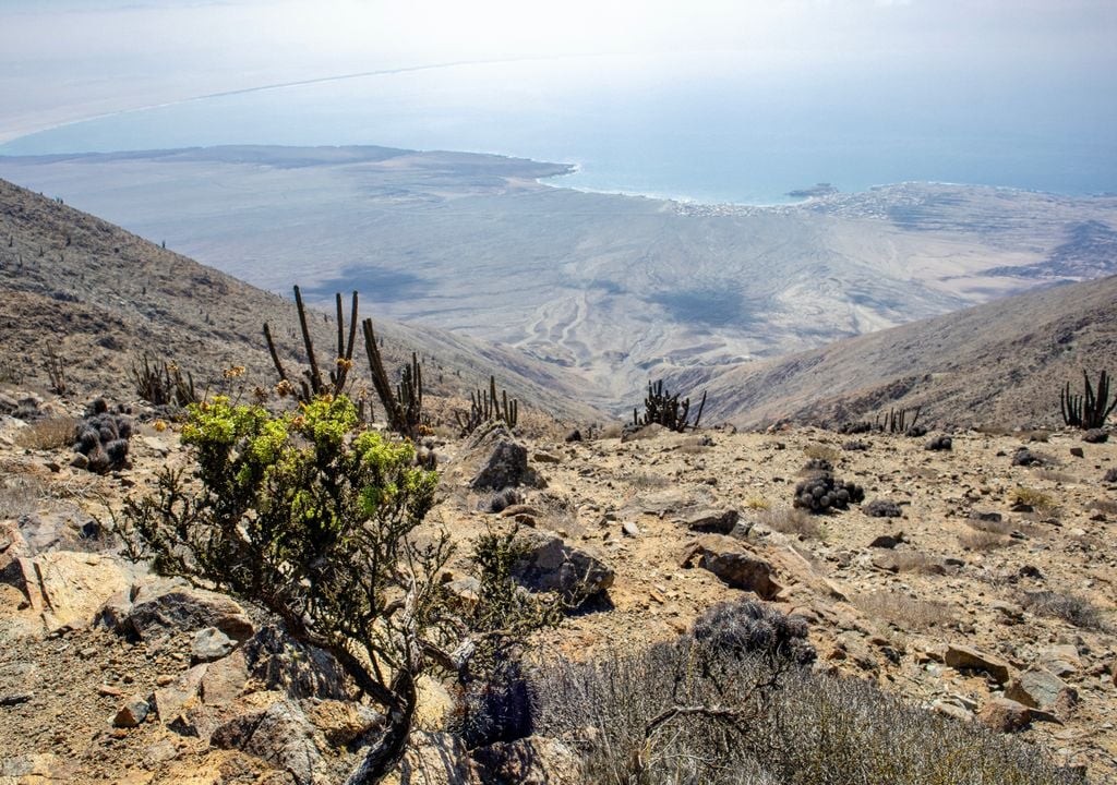 Parque Nacional Cerro Moreno, Antofagasta. Parque Nacional Cerro Moreno, Antofagasta.