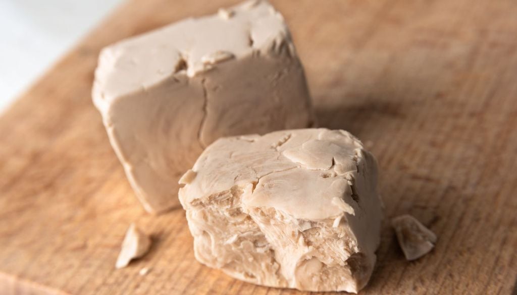 Saccharomyces cerevisiae, il normale lievito di birra, oggetto degli esperimenti condotti in India