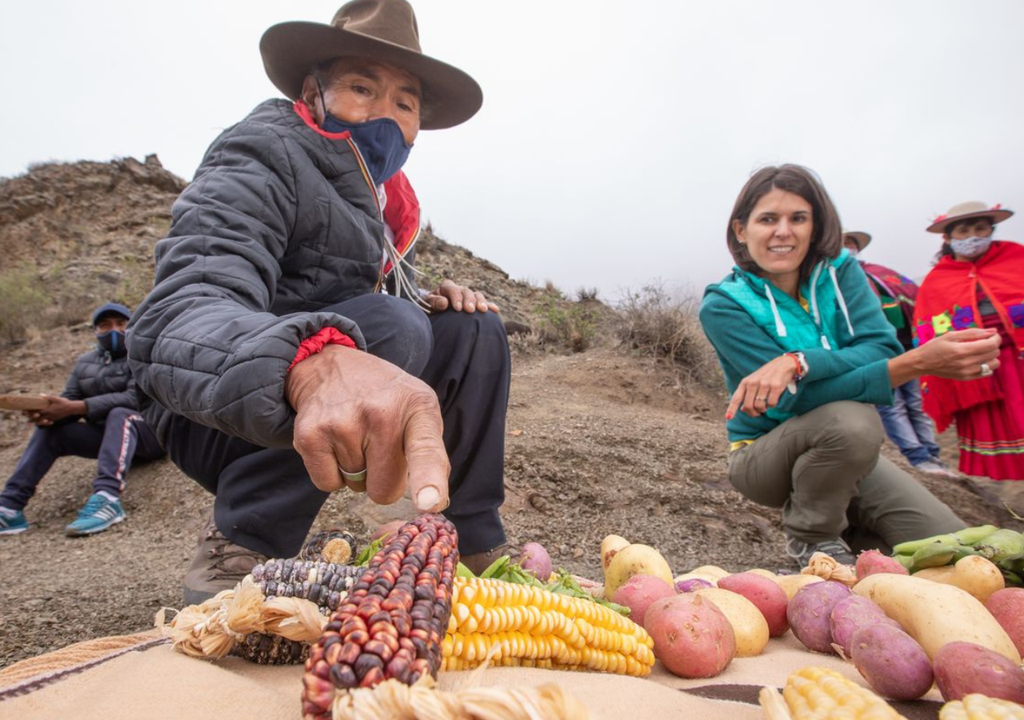 Caspalá Jujuy En Caspalá, los lugareños mantienen sus tradiciones y las comparten con los visitantes. Cada 30 de agosto se celebra Santa Rosa de Lima. Foto: X @GobiernoJujuy