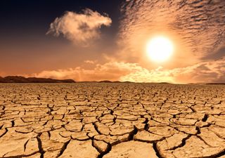 Vivir en un planeta con más de 50 °C: informe indica que la refrigeración debe considerarse como una estructura crítica