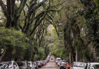 Voc&ecirc; j&aacute; conhece a rua brasileira que ganhou fama como &ldquo;a mais bonita do mundo&rdquo;? Veja onde fica