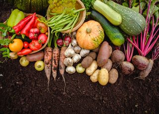 Voici ce qu'il faut faire au jardin avant l'arrivée de la pluie et du froid !