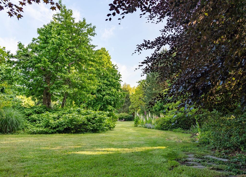 De la végétation en plus d'un gazon donnera plus de charme à votre jardin et une plus grande biodiversité !