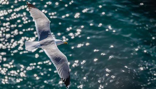 Volare o nuotare: quali sono gli animali che riescono a spostarsi consumando minori energie