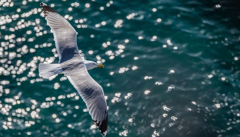 Volare o nuotare: quali sono gli animali che riescono a spostarsi consumando minori energie