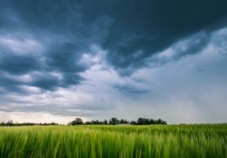 Volta a chover na Região Sul: como serão as chuvas a partir desta sexta-feira e o fim de semana?