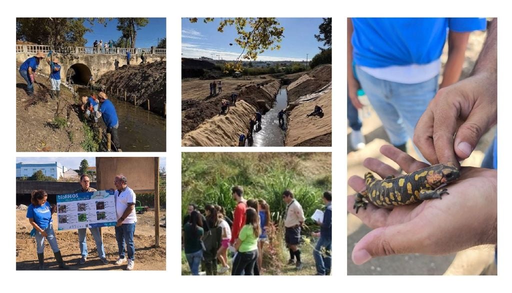 Reabilitação de rios e ribeiras em Santarém Das ações de restauro ao regresso da fauna, o projeto já mostra resultados em várias ribeiras de Santarém. Município de Santarém