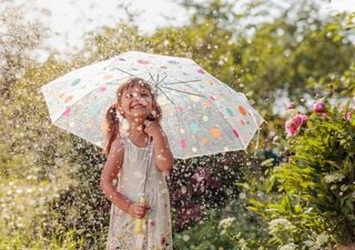 ¿Volverán las lluvias? Revelan el pronóstico para lo que resta del año