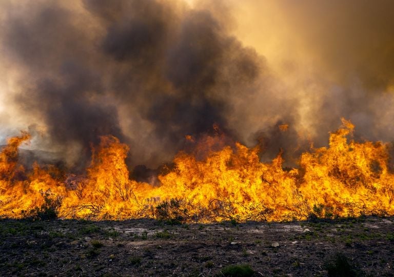 Incendios delta Paraná Santa Fe Entre Ríos Incendios delta Paraná Santa Fe Entre Ríos