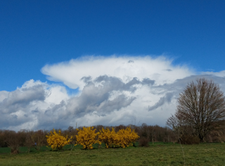 Malte Neuper: Meteorologe 