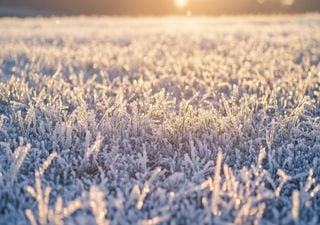 The Summer Season of Frost Nights: The Weather forecast for October 2024