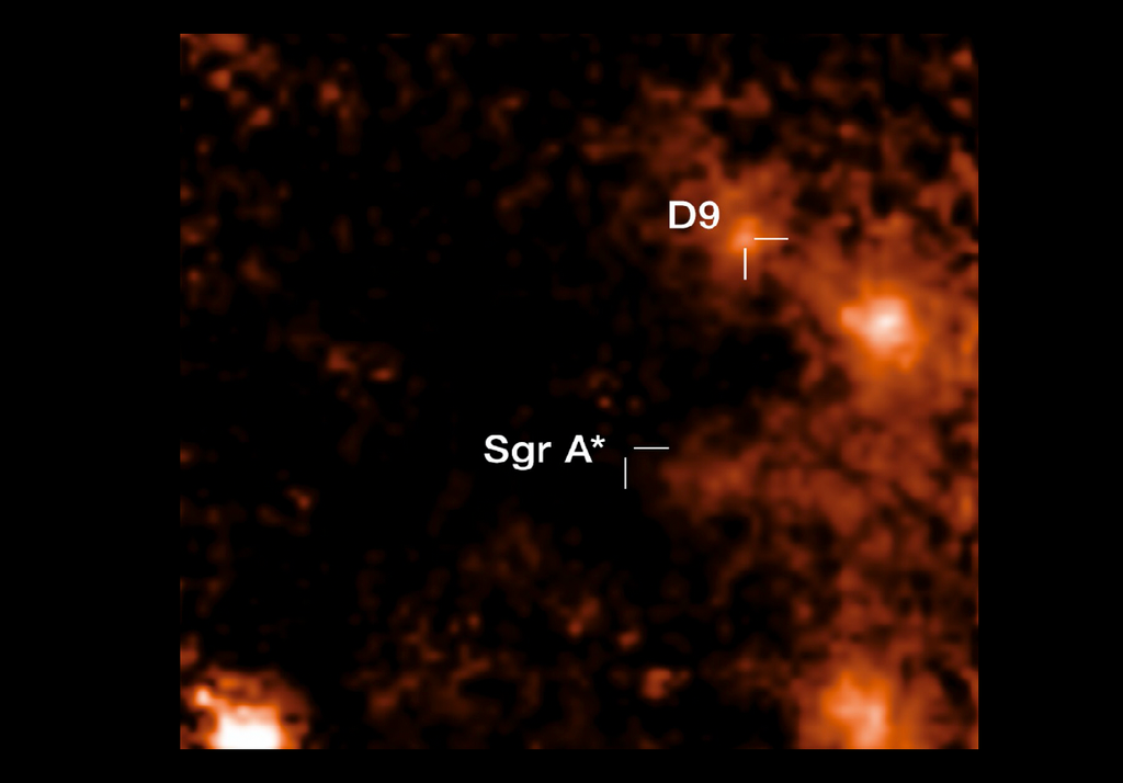 D9 D9
