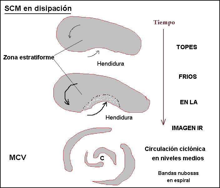 Modelo conceptual de evolución de algunos SCM a MCV apreciado en las imágenes IR de satélite Modelo conceptual de evolución de algunos SCM a MCV apreciado en las imágenes IR de satélite