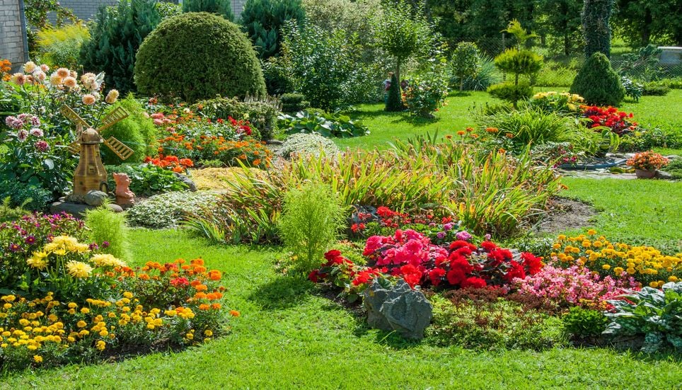 Un beau jardin ou potager est possible avec une grande mixité des plantes : un équilibre naturel s'y développe.