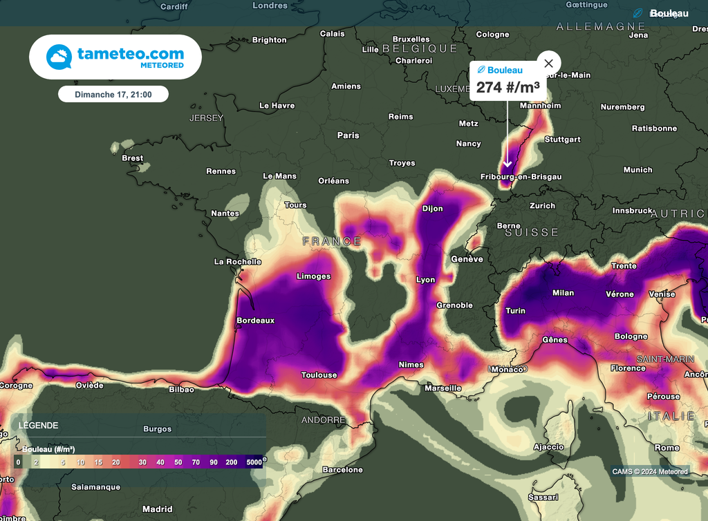 Les pollens de bouleau vont s'installer sur une large moitié Sud durant ce week-end. Les pollens de bouleau vont s'installer sur une large moitié Sud durant ce week-end.